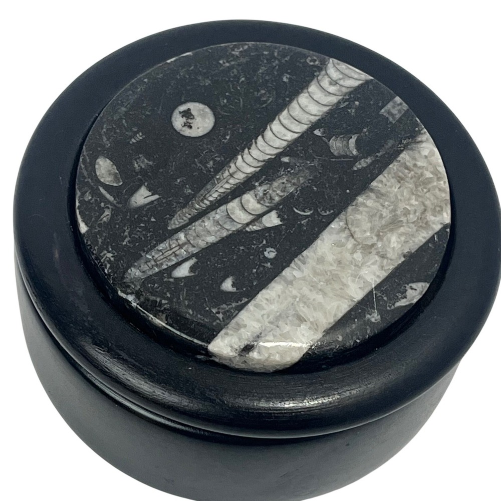 Fossilized Polished Orthoceras & Ammonite Round Black Trinket Jewelry Box